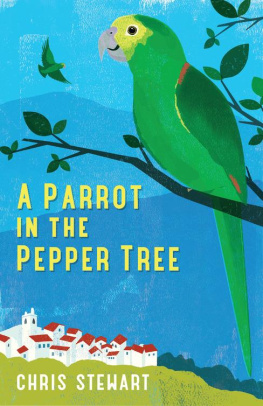 Stewart - A parrot in the pepper tree