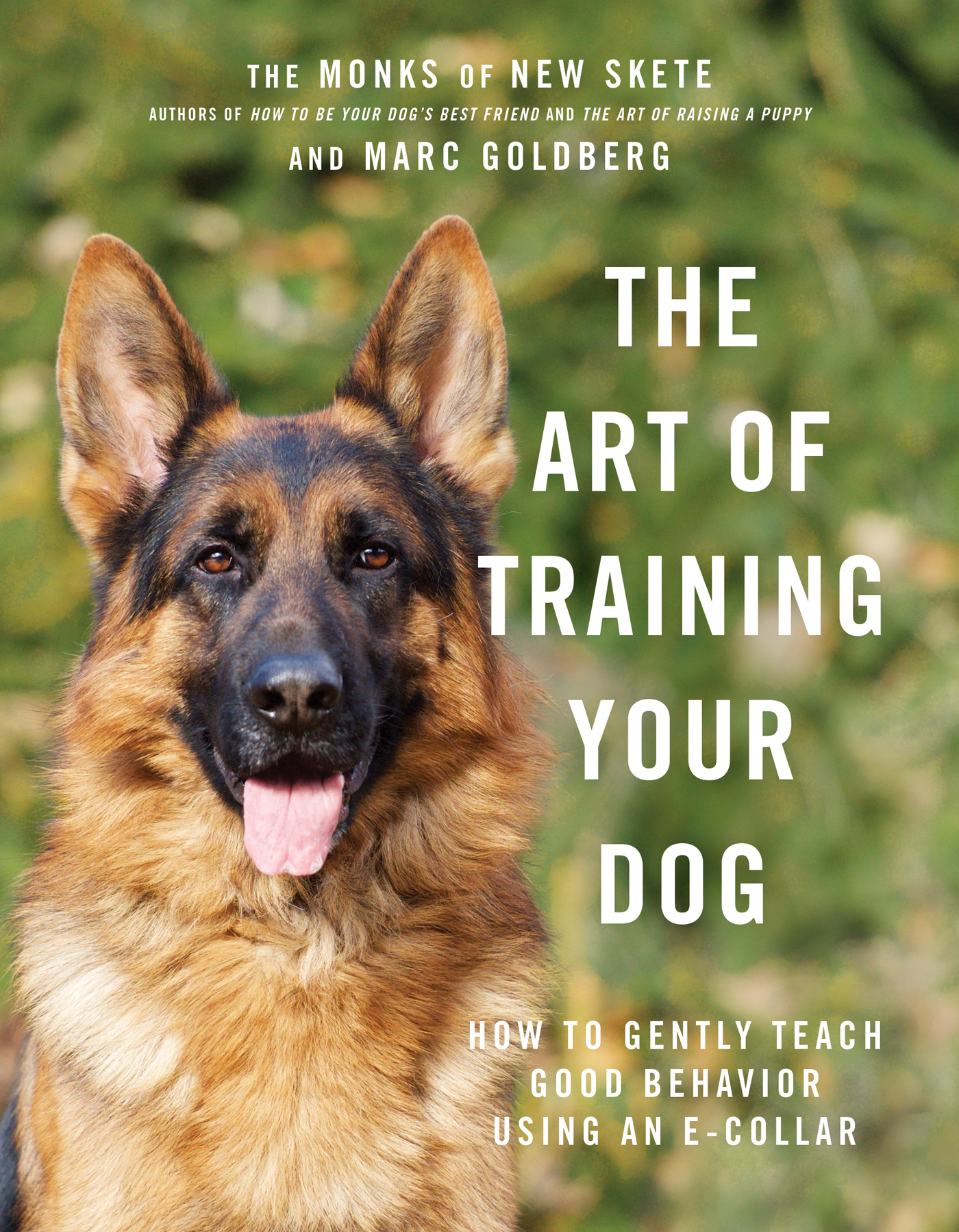 THE ART OF TRAINING YOUR DOG How to Gently Teach Good Behavior Using an - photo 1