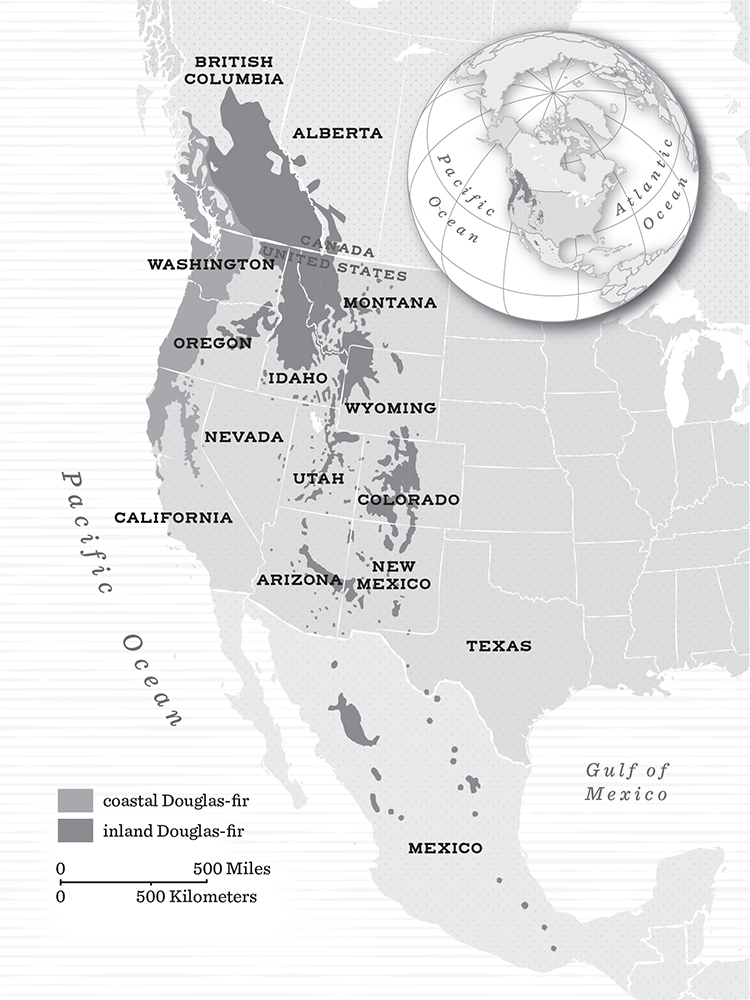 Source Data drawn from Volume 1 of Atlas of United States Trees by Elbert - photo 7