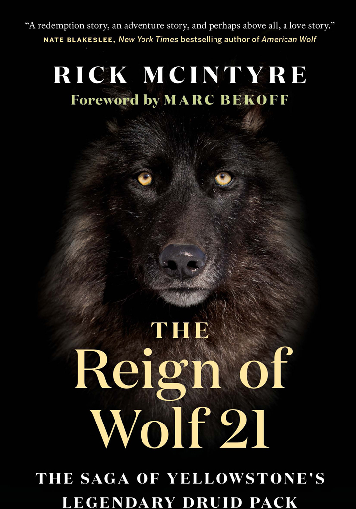 Books in the Alpha Wolves of Yellowstone Series by Rick McIntyre The - photo 1