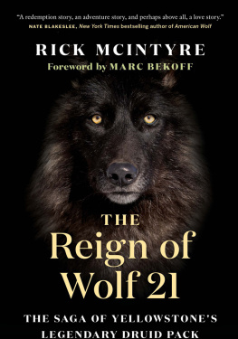 Rick McIntyre - The Reign of Wolf 21: The Saga of Yellowstones Legendary Druid Pack