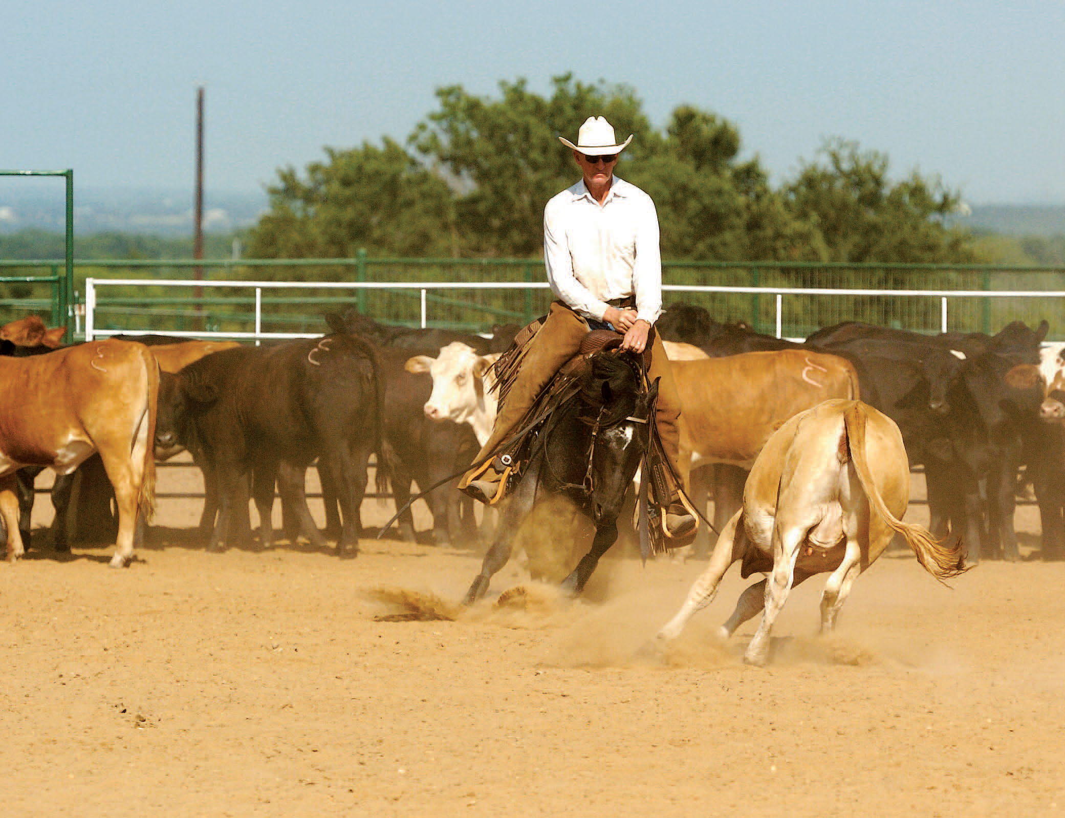 Introduction S ince taking up western riding youve dedicated yourself to - photo 2