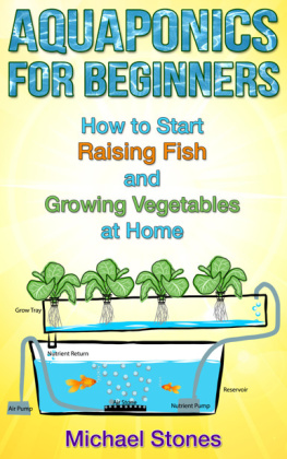 Stones - Aquaponics For Beginners: How To Start Raising Fish And Growing Vegetables At Home