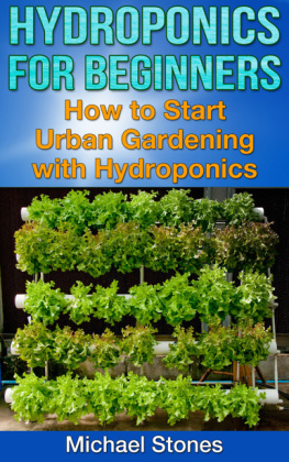 Stones - Hydroponics For Beginners: How To Start Urban Gardening With Hydroponics