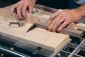 Use the cutoff box on the table saw and a stop-block to make sure all the - photo 6