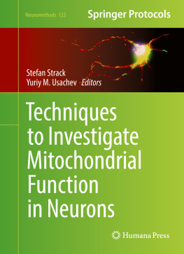 Strack Stefan Techniques to Investigate Mitochondrial Function in Neurons