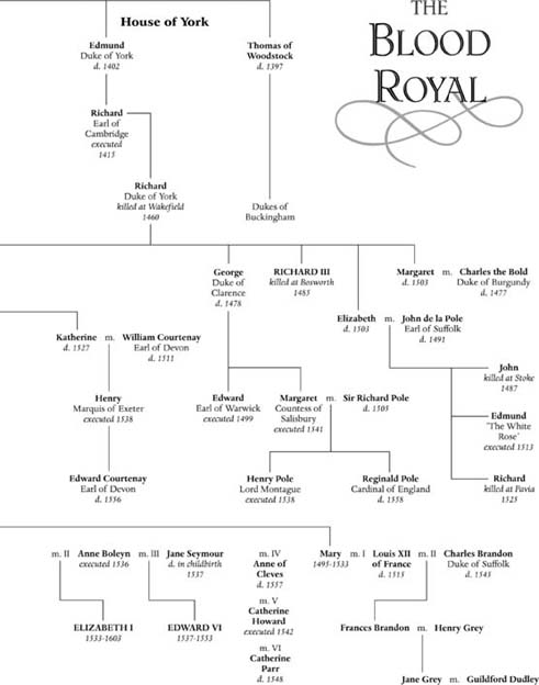 A Tudor Timeline 1457 January 28 Henry Tudor is born to Lady Margaret - photo 6