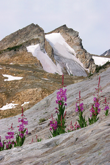 Northern Purcell Mountains Road Map 1 Silent Pass - photo 1