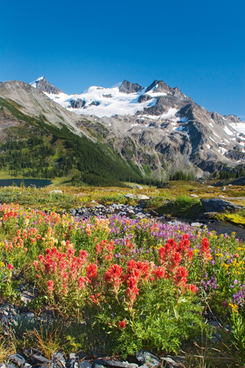 Silent Pass below the Spillimacheen Glacier has small areas that are vibrant - photo 8