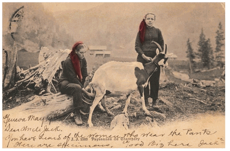 Domestic goats were a ready source of milk and meat for early settlers By the - photo 6