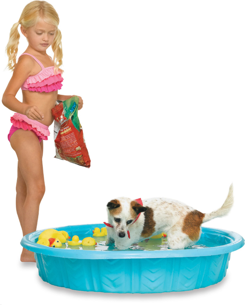 Fill the pool to the top Sprinkle in several popcorn pieces and let your dog - photo 14