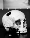 Prehistoric This skull of a young girl dates to around 3500 BC The hole in - photo 5