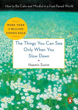 Sunim The Things You Can See Only When You Slow Down: How to Be Calm and Mindful in a Fast-Paced World