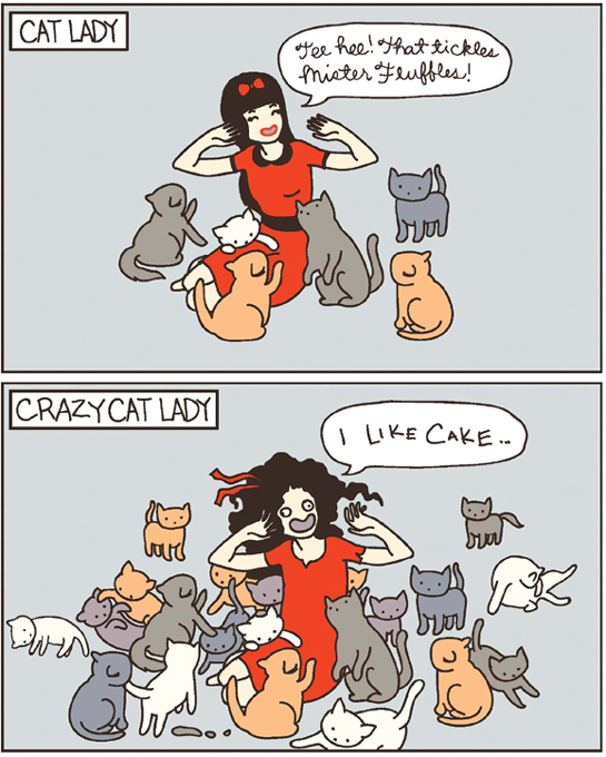 Cat Versus Human - photo 11