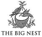 THE BIG NEST LONDON NEW YORK TORONTO SAO PAULO MOSCOW PARIS MADRID BERLIN - photo 3