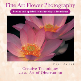 Sweet - Fine art flower photography: creative techniques and the art of observation