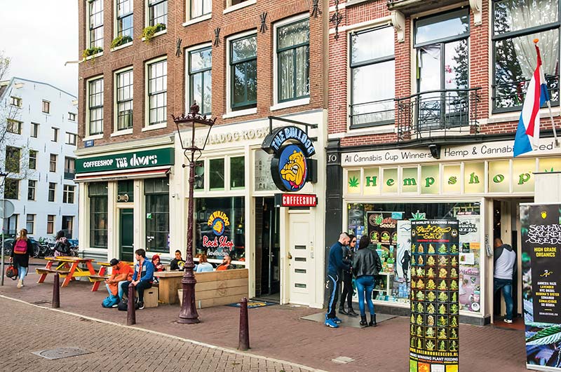 Cannabis Culture Several million tourists a year visit Amsterdams - photo 15