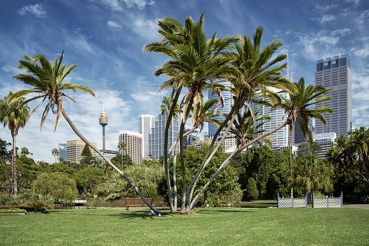 SIMON BRADFIELDGETTY IMAGES Sydney Top Sight Treasure trove of Australian - photo 8