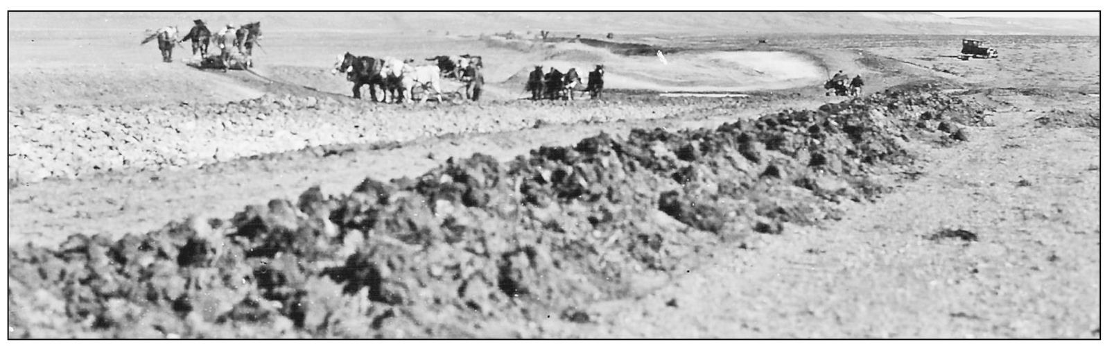 The photograph above shows a man driving a team of horses to clear the land for - photo 10