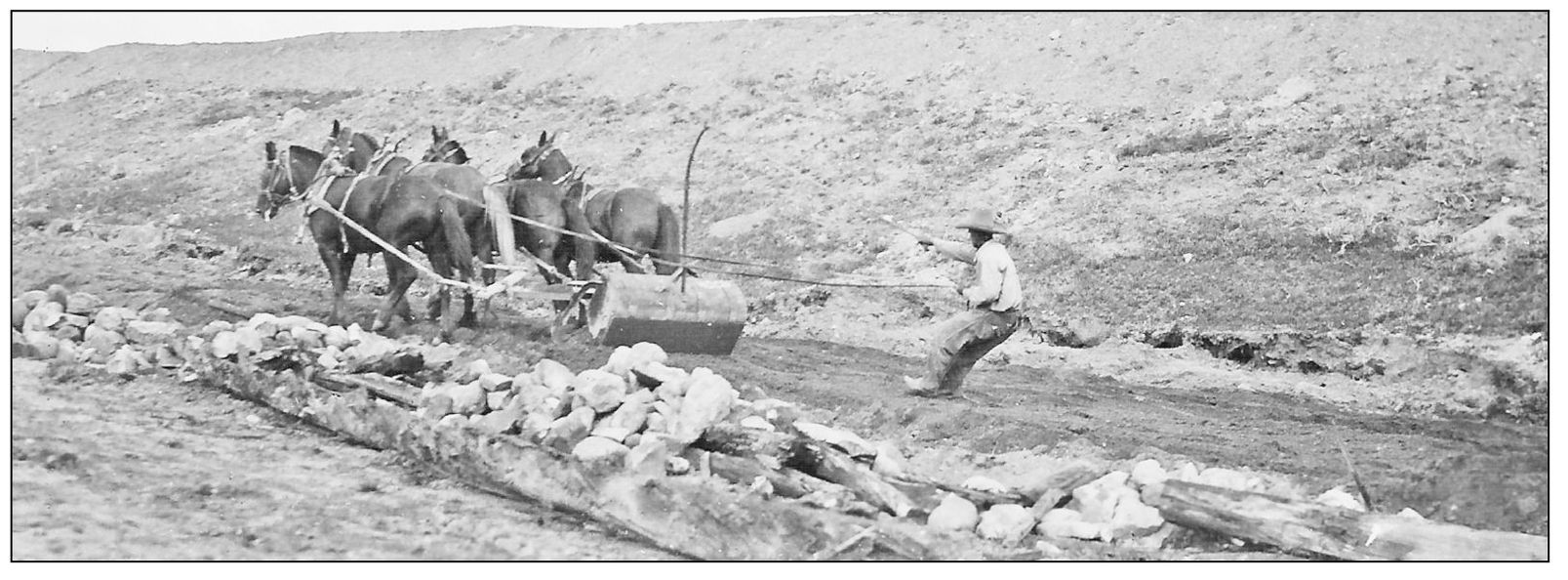 The photograph above shows a man driving a team of horses to clear the land for - photo 11
