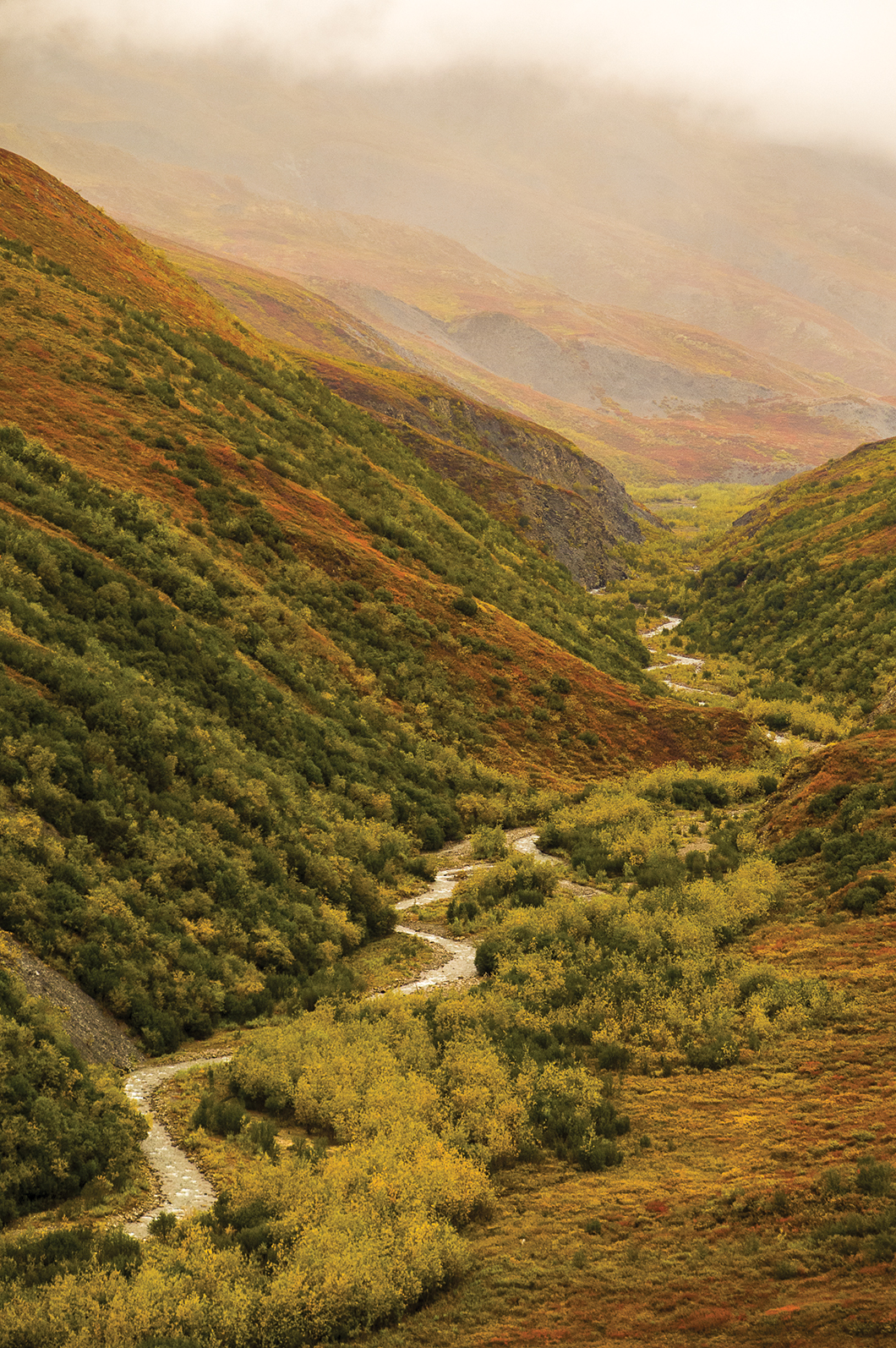 AUTUMN IN THE BROOKS RANGE IS A TAPESTRY OF COLORS AND TEXTURES A laska - photo 4