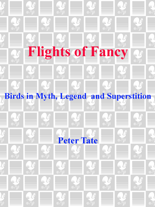 FLIGHTS OF FANCY A Delacorte Press Book PUBLISHING HISTORY Random House UK - photo 1