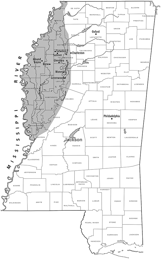 The shaded area is the Mississippi Delta Map by Hammons and Associates Used - photo 2