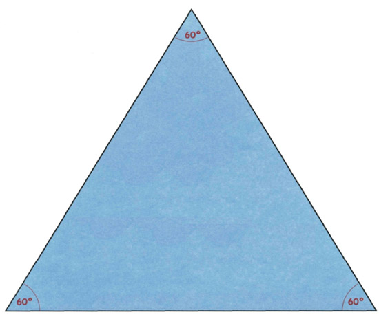 1a Trace or photocopy the triangle or draw an equilateral triangle with - photo 18