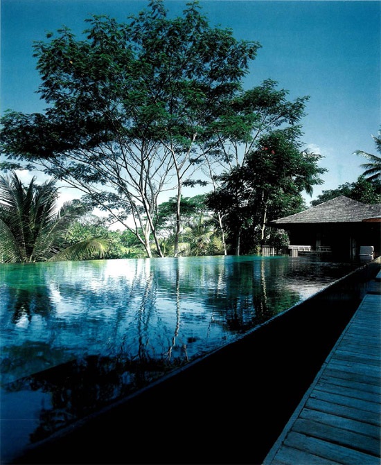 The pure rectangular volume of this infinity-edge pool protrudes above the - photo 3