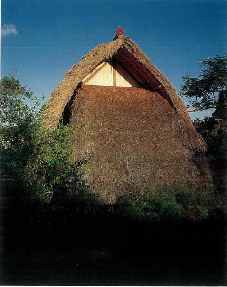 The characteristic shape of the roof of the Balinese lumbung or rice granary - photo 4