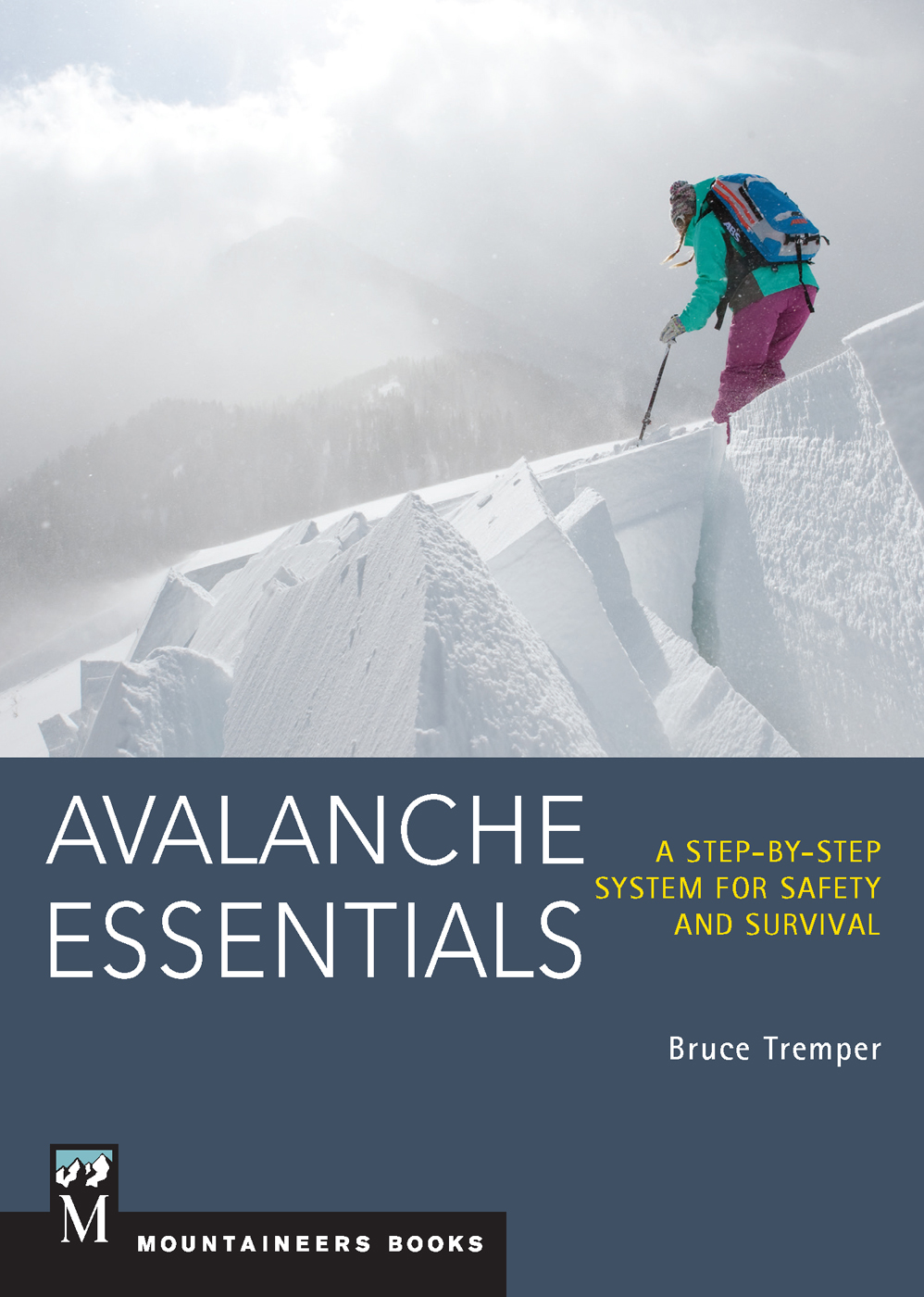 AVALANCHE ESSENTIALS Bruce Tremper DEDICATION To my wife Susimy soul - photo 1