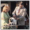 Experience the dog show world including different types of shows and the - photo 11