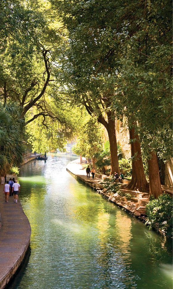The leafy pathways of the River Walk trace the curve of the San Antonio River - photo 12