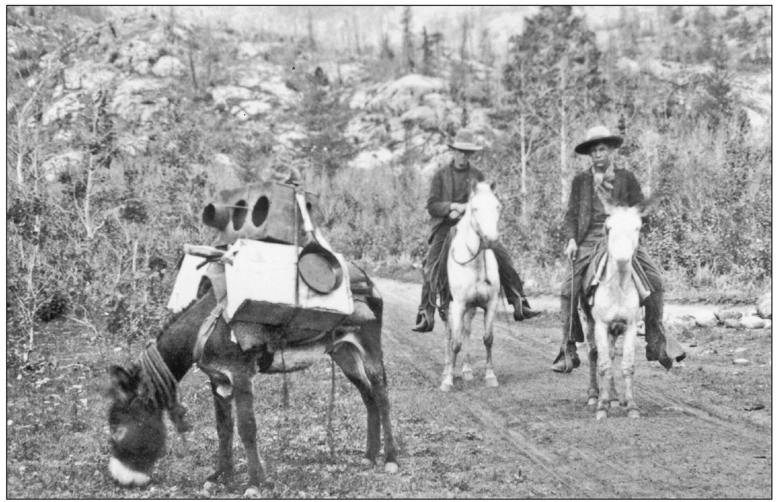 A mule was a prospectors best friend The sure-footed creatures could carry - photo 5