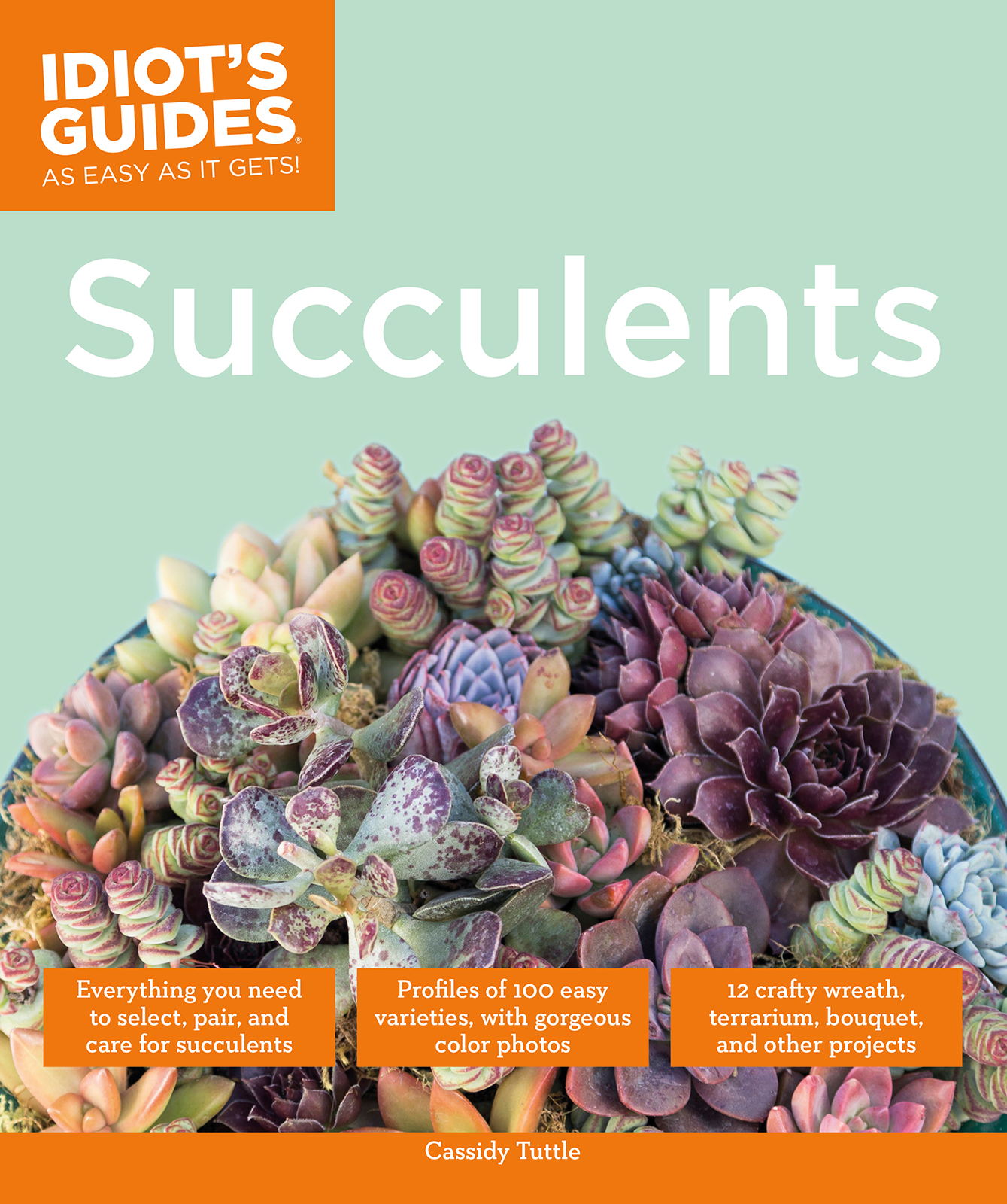 Idiots Guides Succulents - image 1