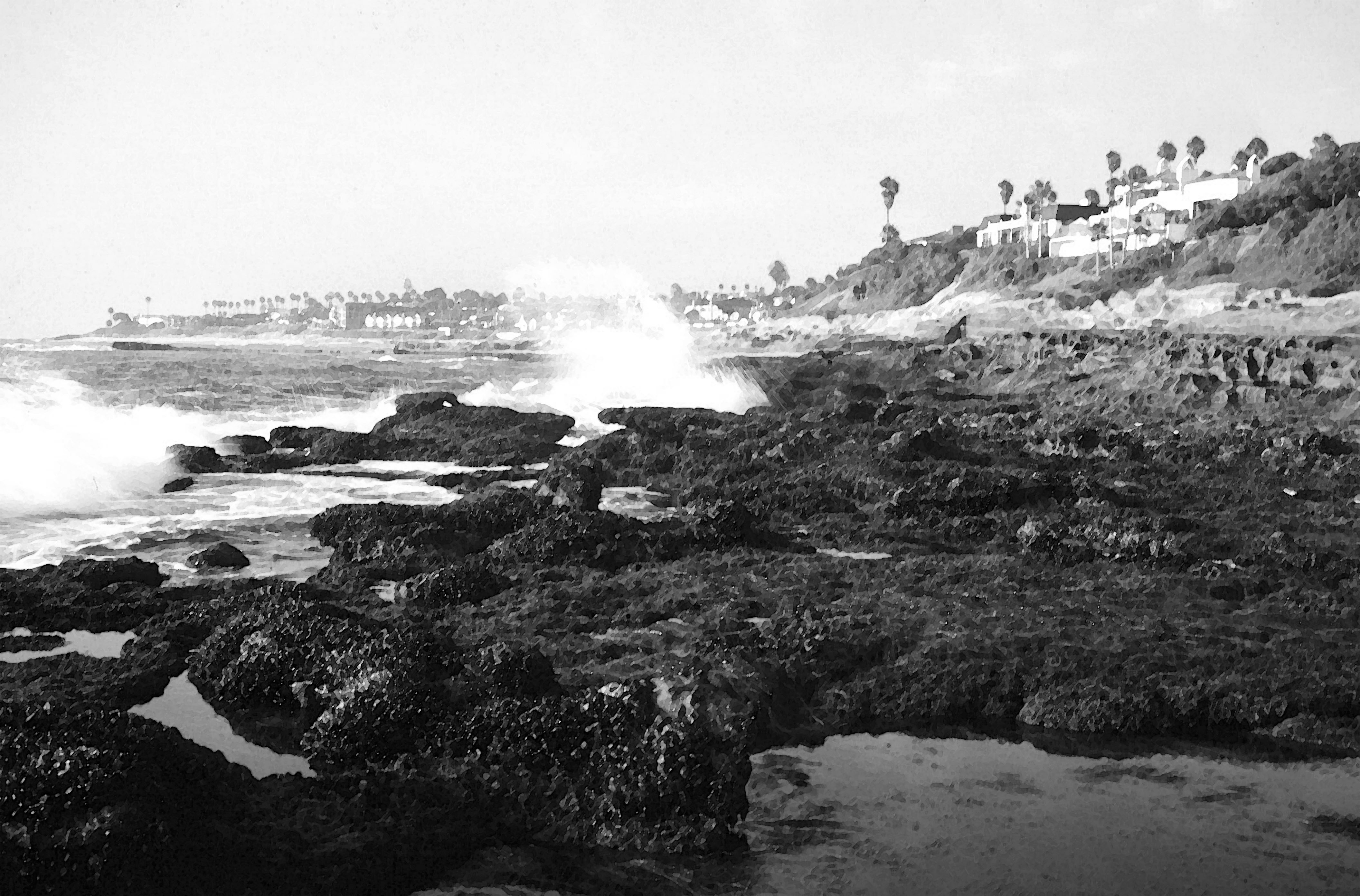 Tidepools Southern California A guide to 92 locations from Point Conception - photo 2