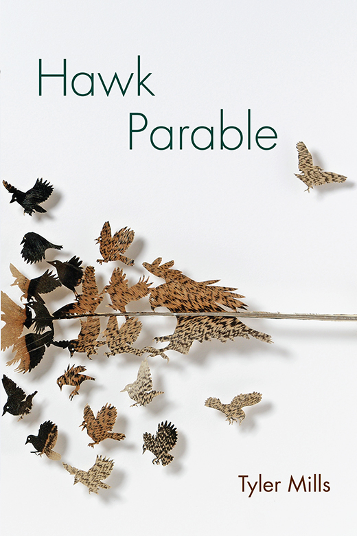 In Hawk Parable by Tyler Mills the intricacies of what is seen and what is - photo 1