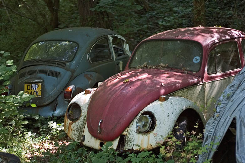 Another factor that might prompt a reversal in the fortunes of classic Beetles - photo 3