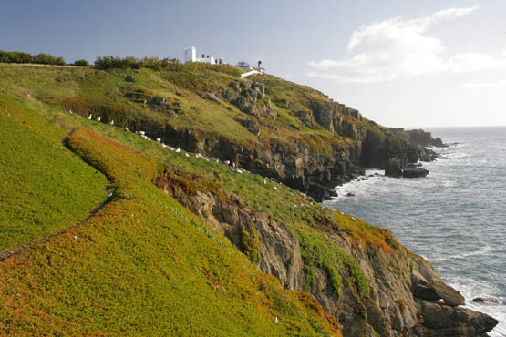 Looking back to the lighthouse from Lizard Point Walk 39 The county of - photo 7