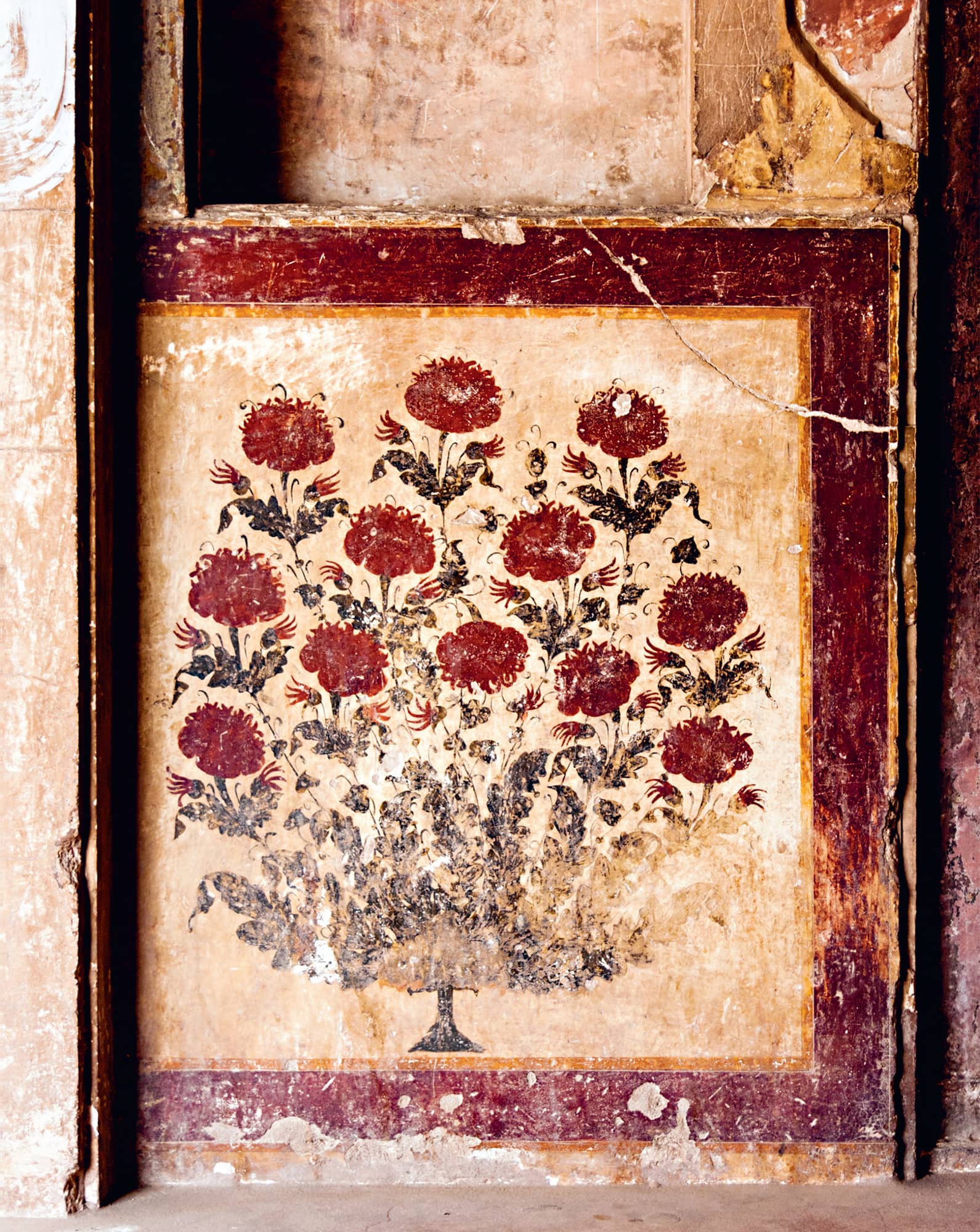 Mountain Berries Desert Spice SWEET INSPIRATION FROM THE HUNZA VALLEY TO THE - photo 2