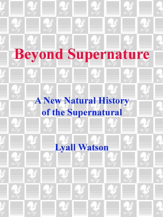 BEYOND SUPERNATURE A Bantam Book New Age and the accompanying figure - photo 1