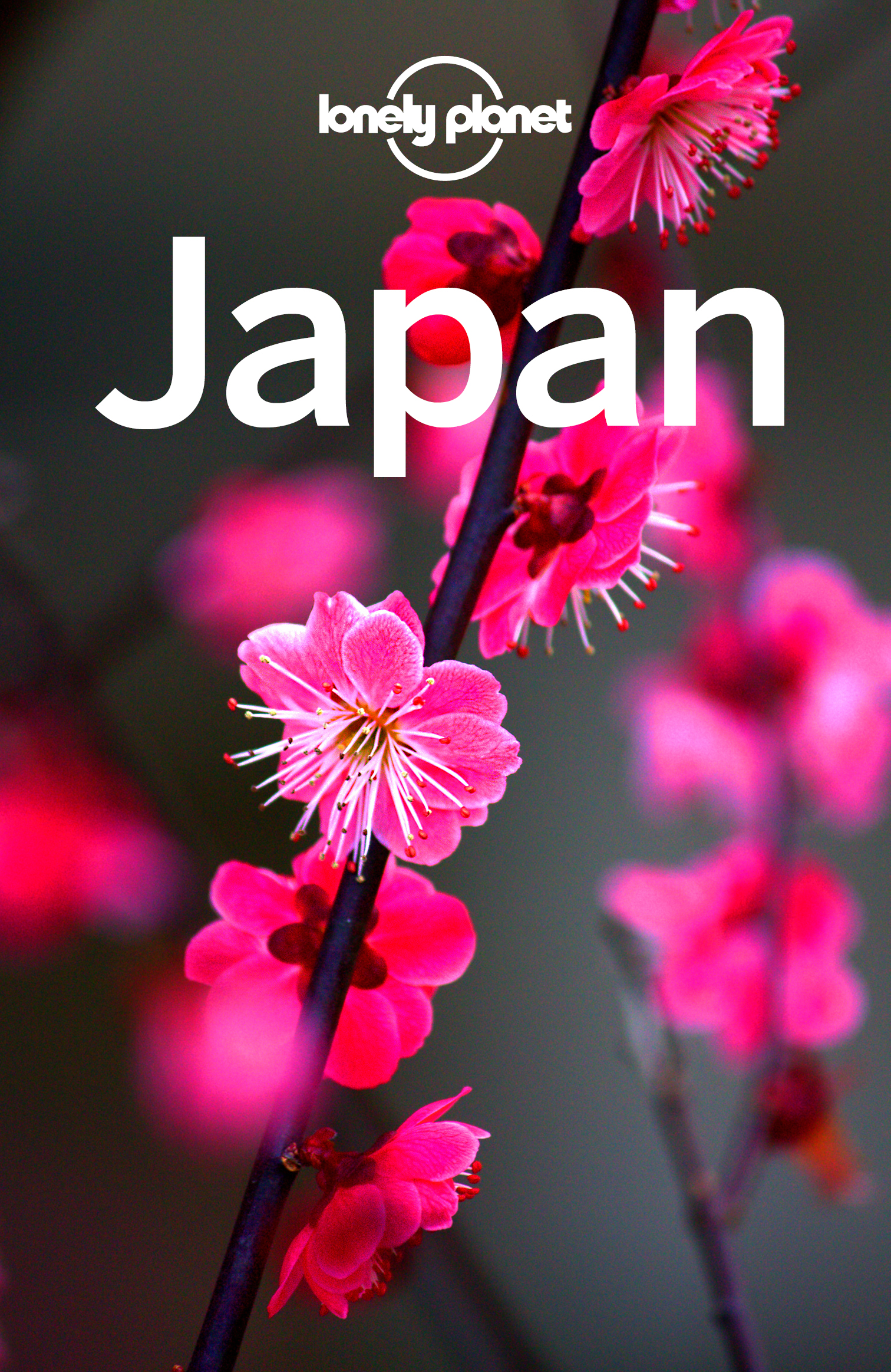 Lonely Planet Japan - image 1