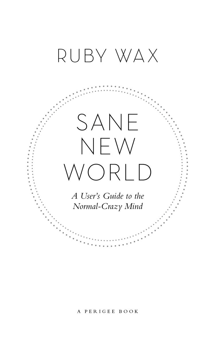 Sane new world a users guide to the normal-crazy mind - image 2