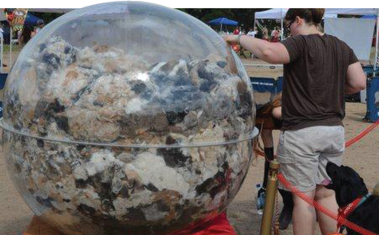 The worlds heaviest ball of dog hair weighed 201 pounds It was gathered from - photo 12