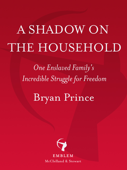 Critical Acclaim for A SHADOW ON THE HOUSEHOLD A COMPELLING work of popular - photo 1