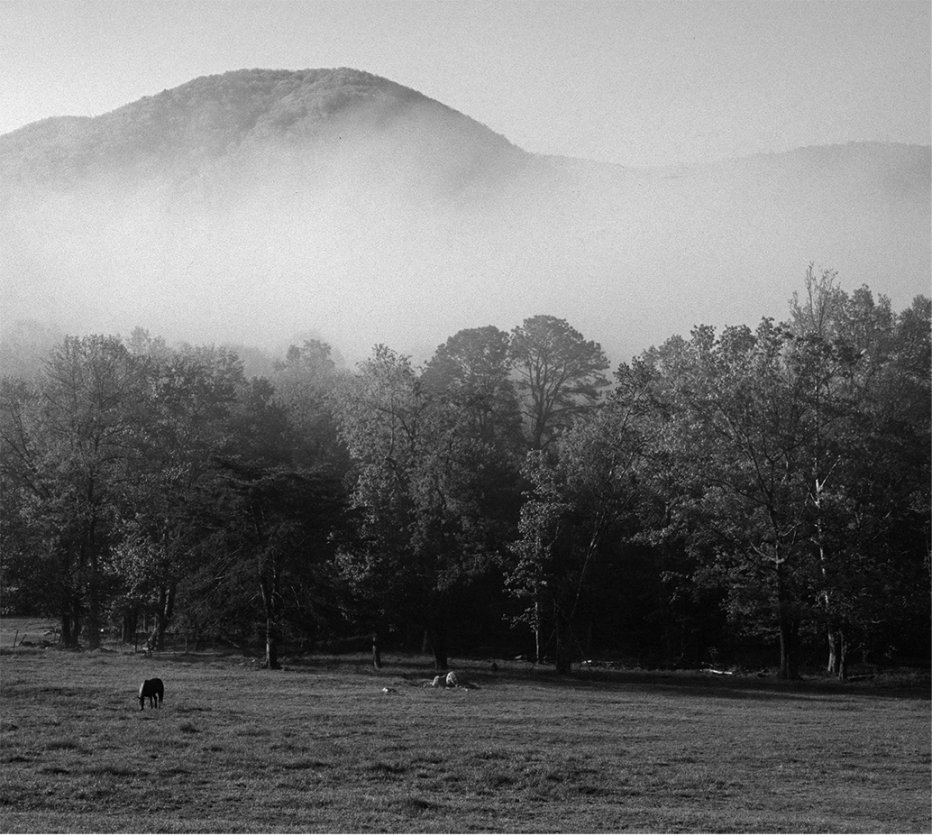 Morning fog lifts in Cades Cove in Great Smoky Mountains National Park - photo 4