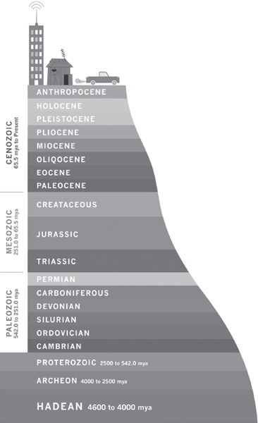 ADVENTURES IN THE ANTHROPOCENE F our and a half billion year - photo 4