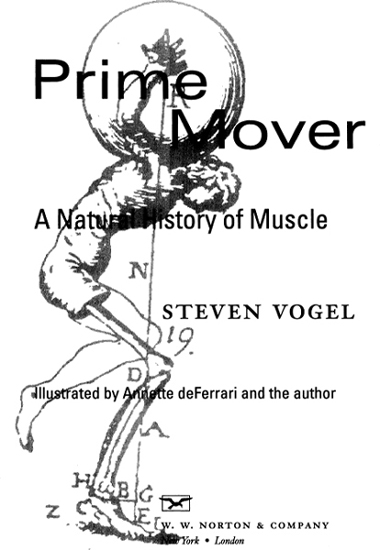 Copyright 2001 by Steven Vogel All rights reserved First published as a Norton - photo 2