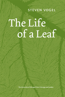 Vogel - The Life of a Leaf