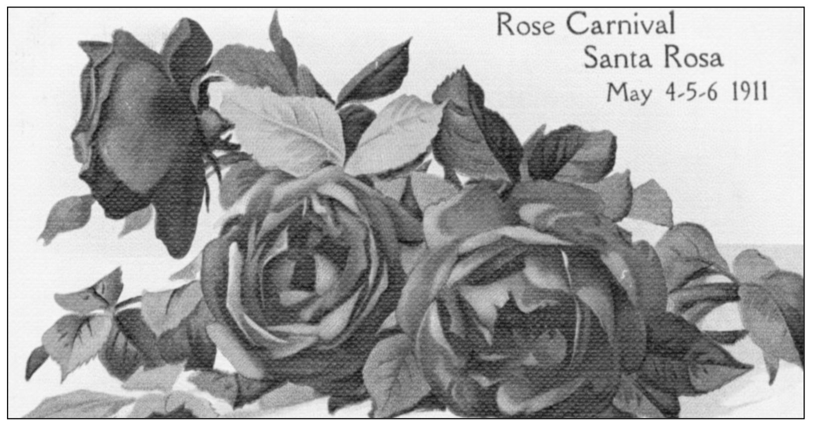 ROSE CARNIVAL 1911 This postcard is typical of those produced each year to - photo 4